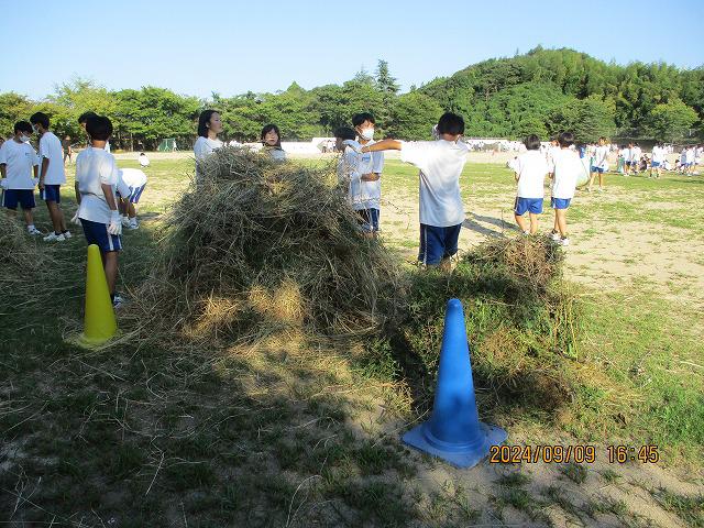 IMG_7886.jpg