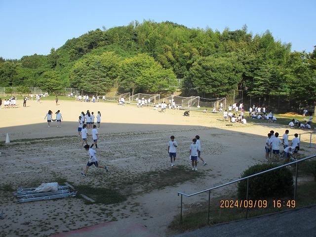 IMG_7890.jpg