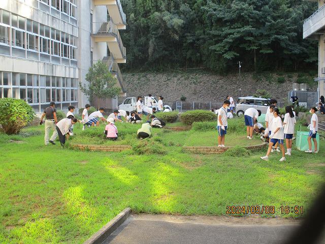 IMG_7894.jpg