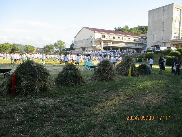 IMG_7900.jpg