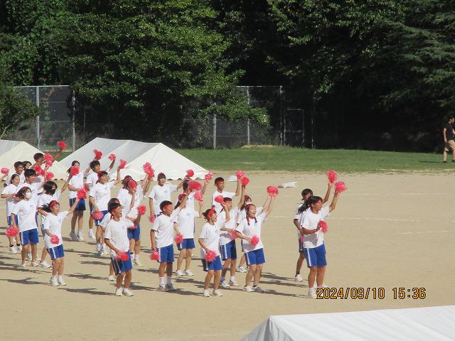 IMG_7937.jpg