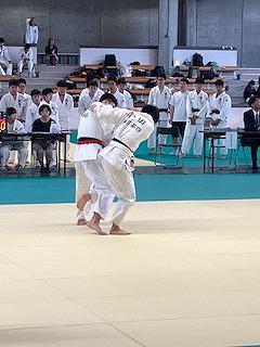 IMG_7953.jpg