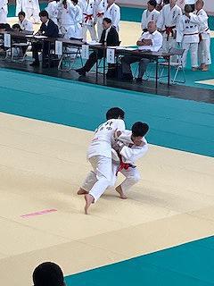IMG_7959.jpg