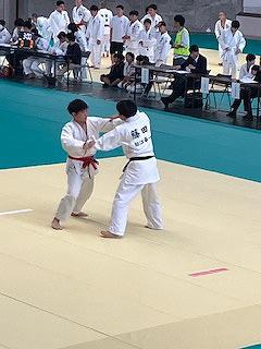 IMG_7964.jpg