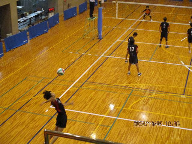 IMG_8163.jpg