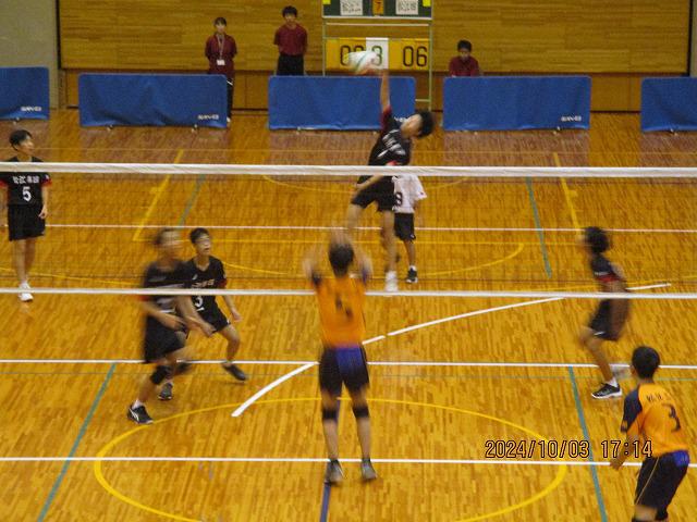 IMG_8184.jpg