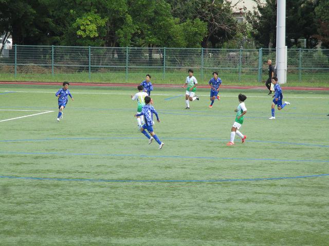 IMG_8198.jpg