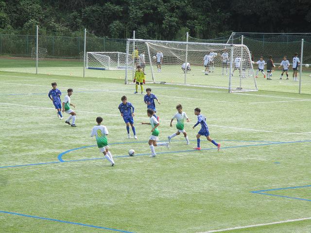 IMG_8212.jpg