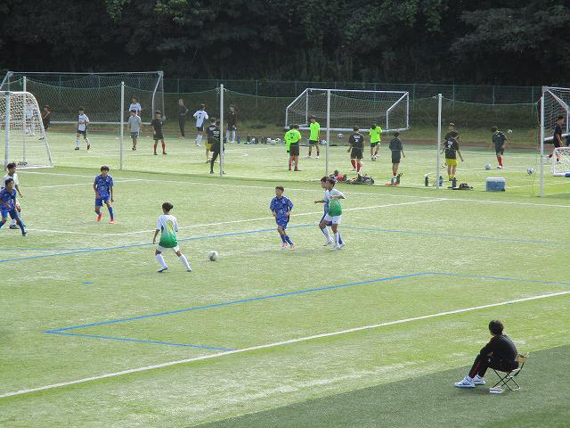IMG_8213.jpg