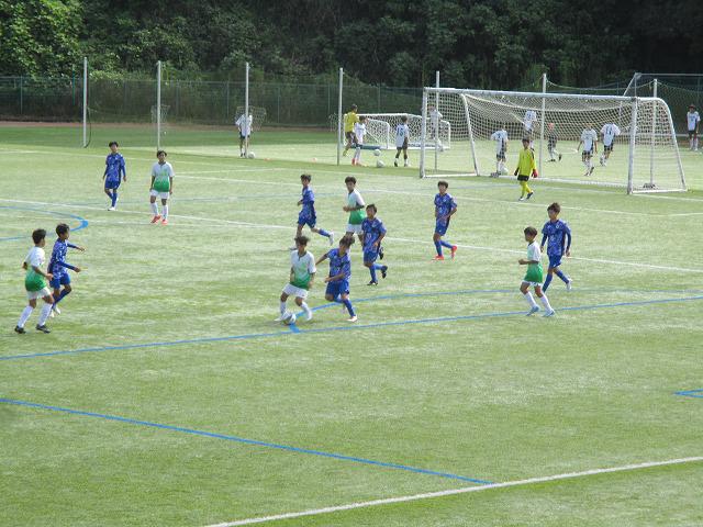 IMG_8214.jpg