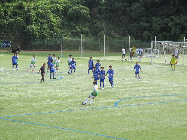 IMG_8215.jpg