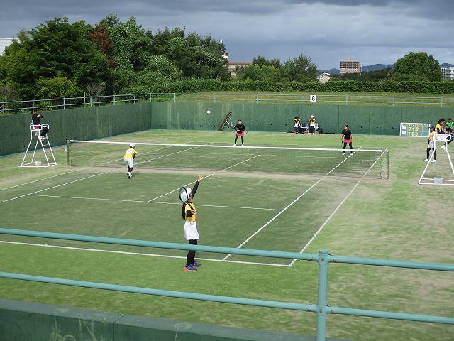 IMG_8235.jpg