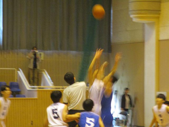 IMG_8250.jpg