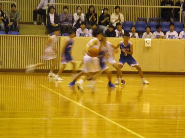 IMG_8263.jpg