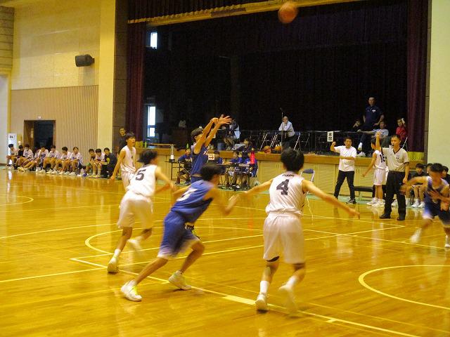 IMG_8272.jpg