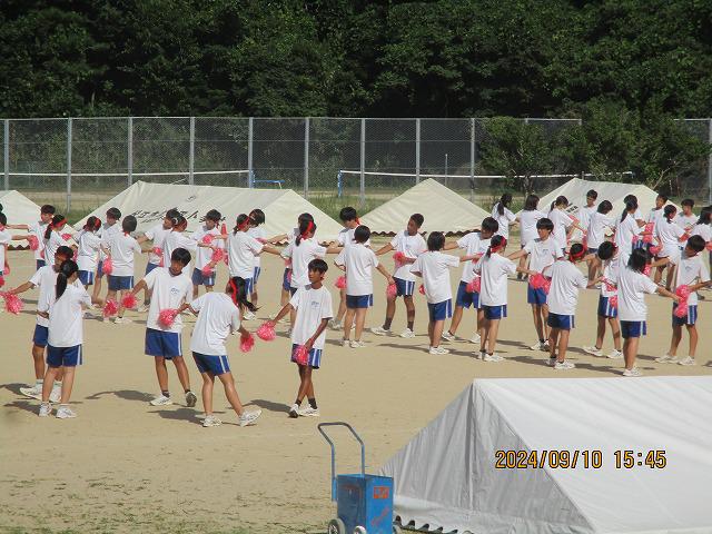 IMG_7938.jpg