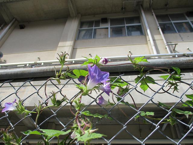 IMG_8320.jpg