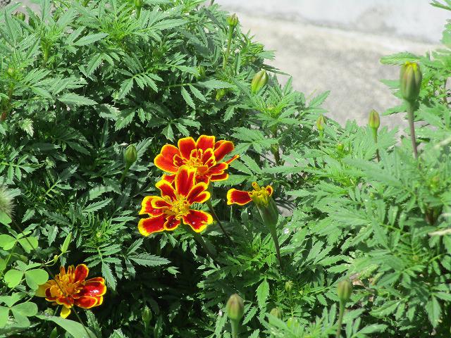 IMG_8322.jpg