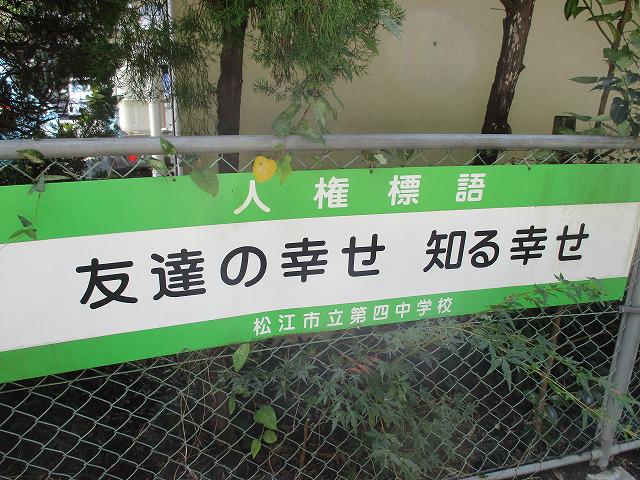 IMG_8341.jpg