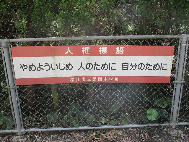 IMG_8346.jpg