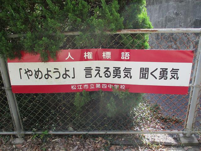 IMG_8349.jpg