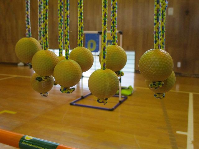 IMG_8666.jpg