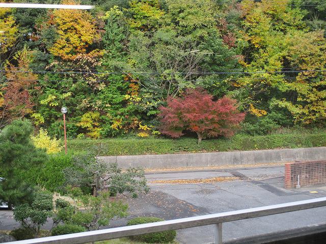 IMG_8762.jpg