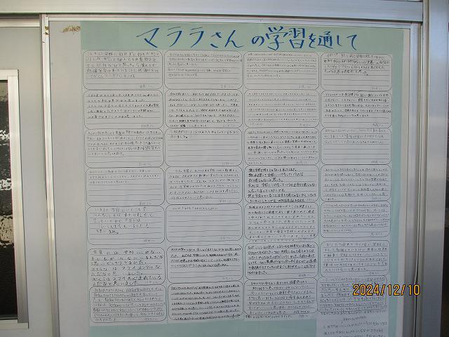 IMG_8816.jpg