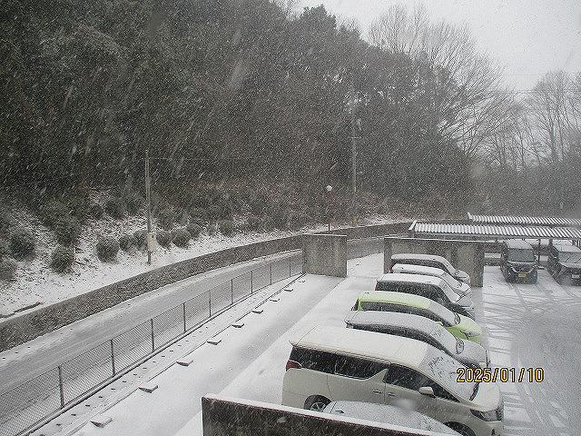 IMG_8928.jpg