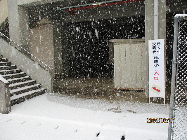 IMG_9144.jpg