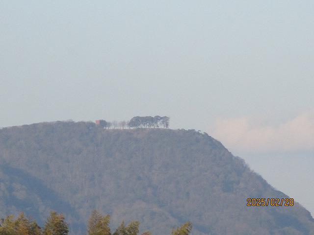 IMG_9204.jpg