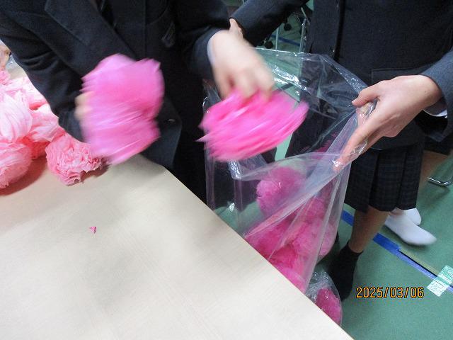 IMG_9230.jpg