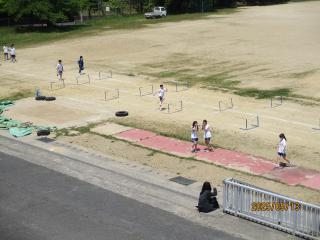 IMG_9831.JPG