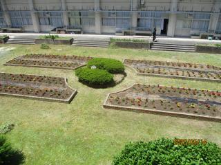 IMG_9853.JPG