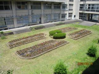 IMG_9854.JPG