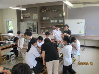 IMG_9919.JPG