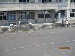 IMG_9924.JPG
