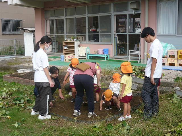 P1010380.jpg