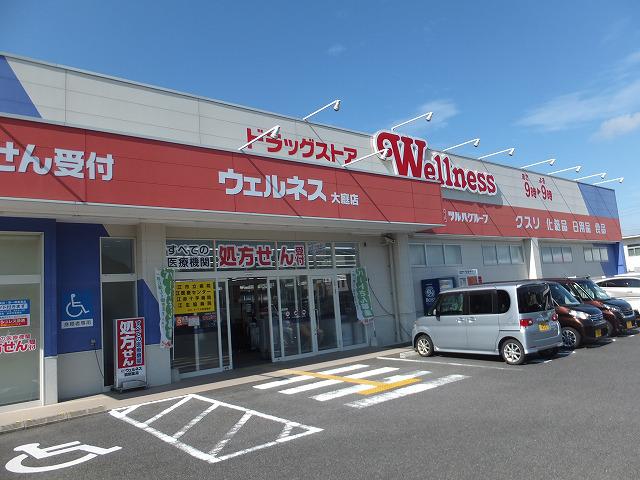 ウェルネス大庭店(店内不可).jpg