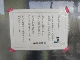 画像349.jpg