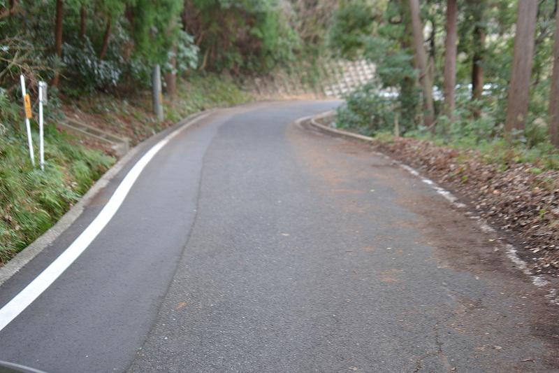 縮DSC_1394.jpg