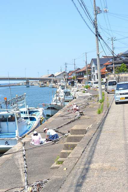 A-DSC_0093.jpg