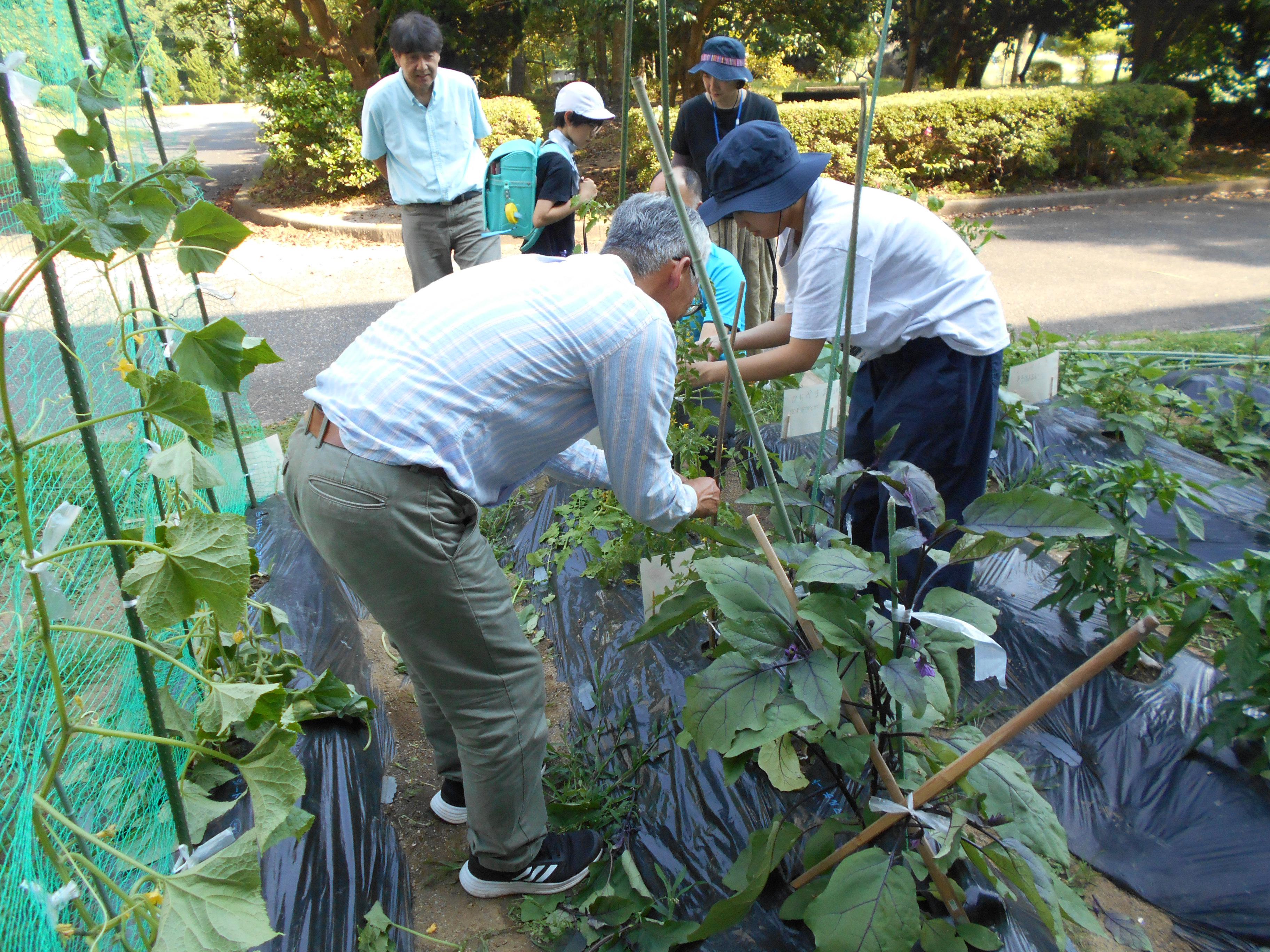 DSCN6338.JPG