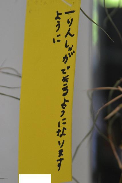 DSC_0295.jpg