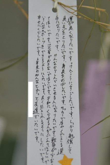 DSC_0297.jpg