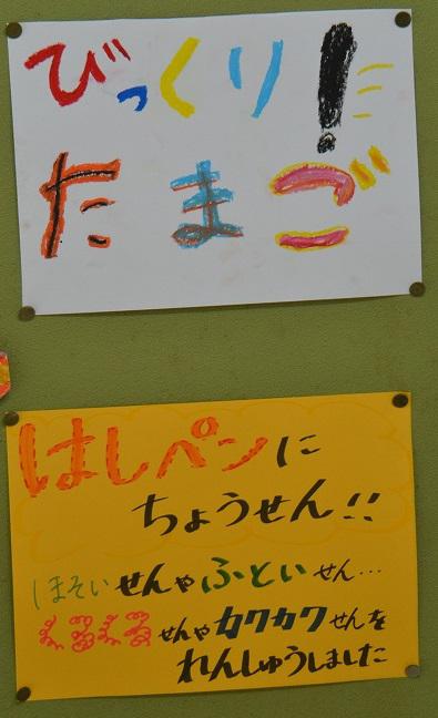 DecDSC_0933.jpg