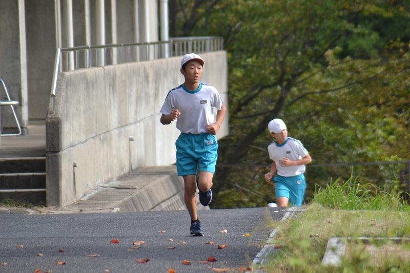 DecDSC_0972.jpg