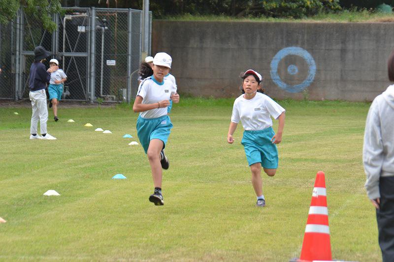 DecDSC_1099.jpg