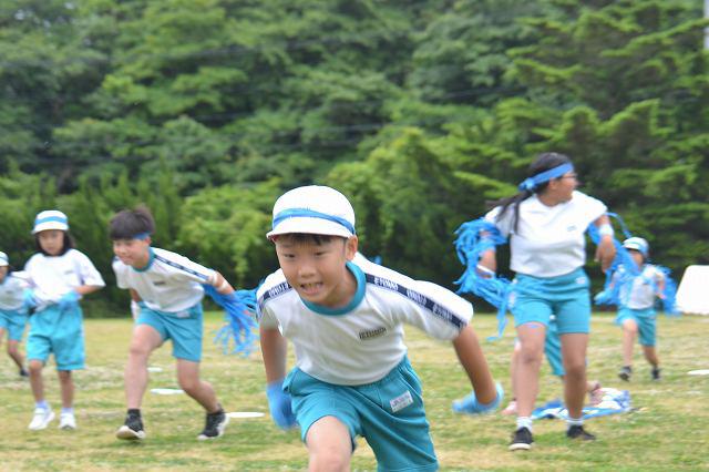 HDSC_0335.jpg