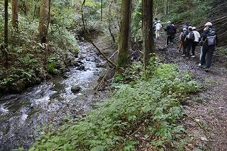 IMG_0966.jpg
